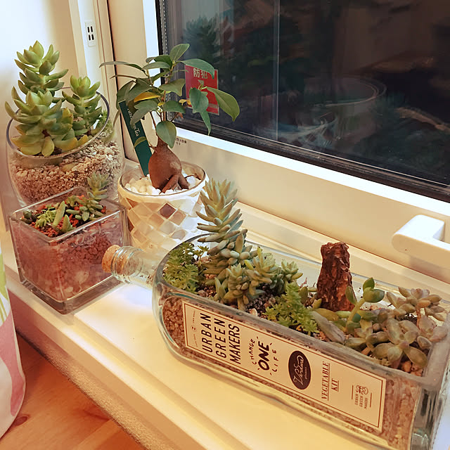 アーバングリーンメーカー ベジタブルキット 02 イタリアン Urban Green Makers Vegetable Kit 02 Italian のレビュー クチコミとして参考になる投稿3枚 Roomclip ルームクリップ