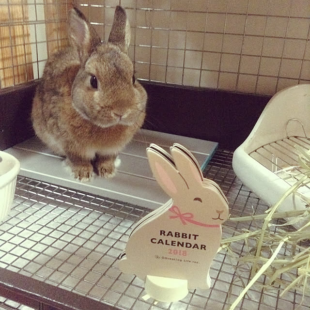 川井 レストルーム 1個 X 1 のレビュー クチコミとして参考になる投稿1枚 Roomclip ルームクリップ