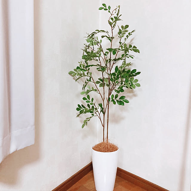 45 割引新着商品 プレミアム銀配合光触媒観葉植物フェイクグリーン空気清浄消臭脱臭室内インテリアおしゃれ 空気清浄機 脱臭機 イオン発生器 季節家電 Urbanfarminginstitute Org