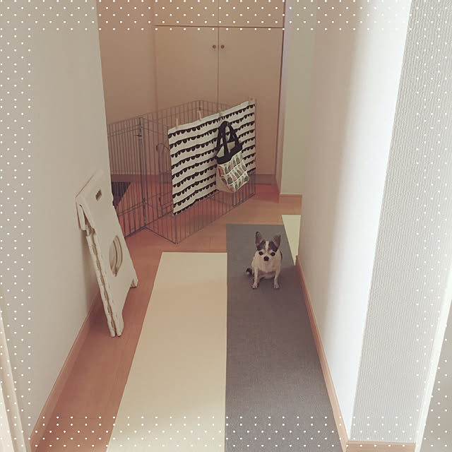 写真付きレビュー】【日本製 撥水 消臭 洗える】サンコー ずれない ジョイントマット 30×30cm ベージュセット 8枚フラットタイプ おくだけ吸着 タイルマット KD-34の通販商品口コミ情報 | RoomClipショッピング 写真付きレビュー】【日本製 撥水 消臭 洗える】サンコー ずれない ジョイントマット 30×30cm ベージュセット 8枚フラットタイプ おくだけ吸着 タイルマット KD-34の通販商品口コミ情報 | RoomClipショッピング