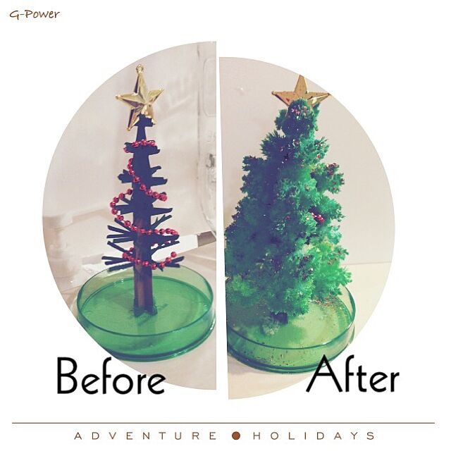 クリスマスツリー Magic Christmas Tree グリーン マジックツリー マジッククリスマスツリー クリスマスツリー ミニ 北欧 モコモコ ツリー おしゃれ 人気 葉が生える不思議なツリー のレビュー クチコミとして参考になる投稿1枚 Roomclip ルームクリップ