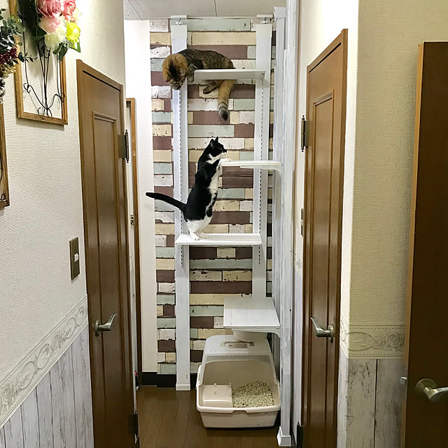 ケイ ララ トリムボーダー シール のり付き 幅10 8cm 4m単位 マスキングテープ 幅広 Mb 006 アンティーク Diy 壁紙 シール インテリア はがせる リメイクシート アクセントクロス ウォールステッカー 壁紙シール クロス カッティングシート 補修のレビュー ケイ ララ トリムボーダー シール のり付き 幅10 8cm 4m単位 マスキングテープ 幅広 Mb 006 アンティーク Diy 壁紙 シール インテリア はがせる リメイクシート アクセントクロス ウォールステッカー 壁紙シール クロス カッティングシート 補修のレビュー