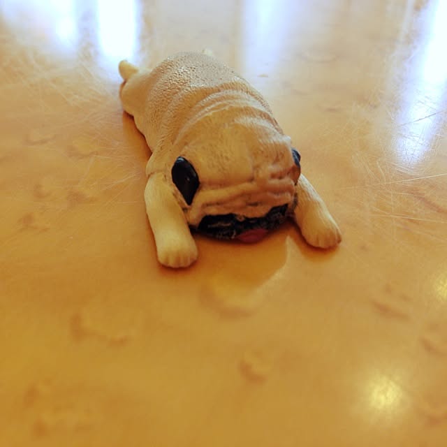 キッチン カメラ対策で ガチャガチャ動物達 つかれた寝のインテリア実例 14 06 27 12 31 11 Roomclip ルームクリップ キッチン カメラ対策で ガチャガチャ動物達 つかれた寝のインテリア実例 14 06 27 12 31 11 Roomclip ルームクリップ