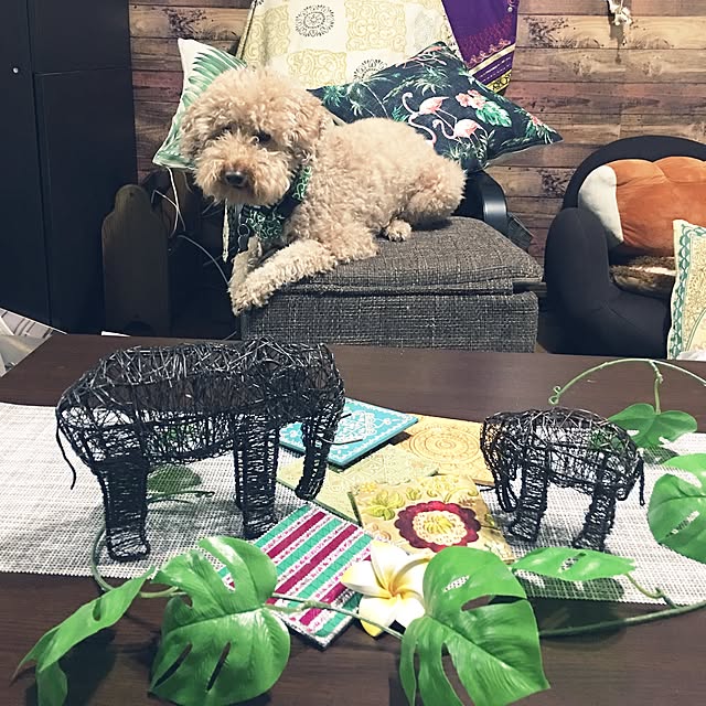 Aim Fn023 Db ツカモトエイム エアリーシェイプ スタイル フィット ダークブラウン Porto ポルト ヒップエクササイズチェア Airly Shape Style Fitのレビュー クチコミとして参考になる投稿21枚 Roomclip Item