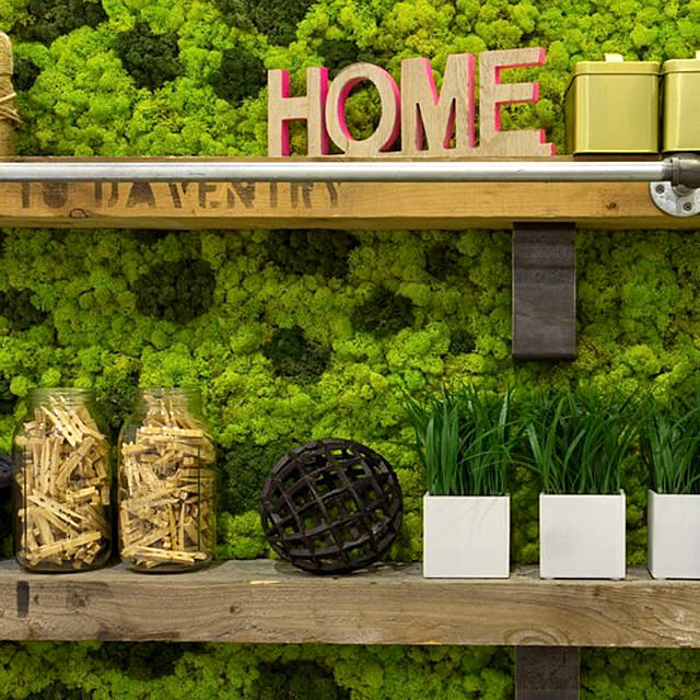 写真付きレビュー モス フィンランドモス 0g プリザーブド プリザーブドフラワー レインディアモス カラーモス グリーンモス アレンジ ハーバリウム パーツ 資材 花材 花資材 素材 材料 ジオラマ 草 樹木 Mosswall Pieceの通販商品 口コミ情報 Roomclipショッピング 写真付きレビュー モス フィンランドモス 0g プリザーブド プリザーブドフラワー レインディアモス カラーモス グリーンモス アレンジ ハーバリウム パーツ 資材 花材 花資材 素材 材料 ジオラマ 草 樹木 Mosswall Pieceの通販商品 口コミ情報 Roomclipショッピング