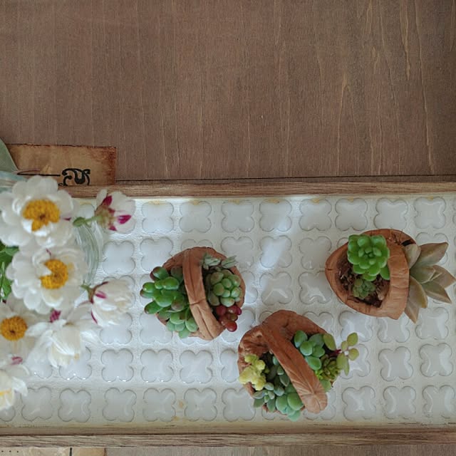 賞味期限 17 6 30 黒瀬ペットフード 殻つきクルミ アメリカ産 1gのレビュー クチコミとして参考になる投稿4枚 Roomclip ルームクリップ