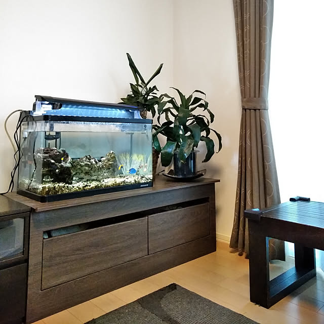 アウトレット品 ニッソー led ライナー600 ブラック 60cm水槽用照明 ライト 熱帯魚 水草 アクアリウムライト 訳ありのレビュー クチコミとして参考になる投稿14枚 Roomclip ルームクリップ アウトレット品 ニッソー led ライナー600 ブラック 60cm水槽用照明 ライト 熱帯魚 水草 アクアリウムライト 訳ありのレビュー クチコミとして参考になる投稿14枚 Roomclip ルームクリップ