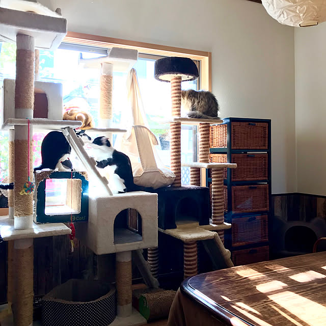 簡易包装版 キャットタワー キャットハウス おしゃれ ハンモック 簡易包装版 キャットタワー キャットハウス おしゃれ ハンモック