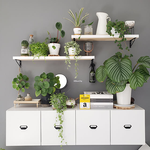 グレー ライトグレー 壁紙 リフォーム のり付き 貼り替え モノトーン 生のりつき壁紙だから届いてすぐ貼れる 12柄 シンプル 道具付き 国産壁紙 15ｍ 織物調 アッシュ 灰色