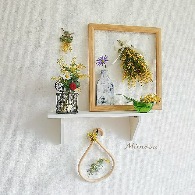花かんざし 苗 ヘリクリサムローダンテ 冬 春 1株 ガーデニング 寄せ植え ドライフラワーにのレビュー クチコミとして参考になる投稿22枚 花かんざし 苗 ヘリクリサムローダンテ 冬 春 1株 ガーデニング 寄せ植え ドライフラワーにのレビュー クチコミとして参考になる投稿22枚