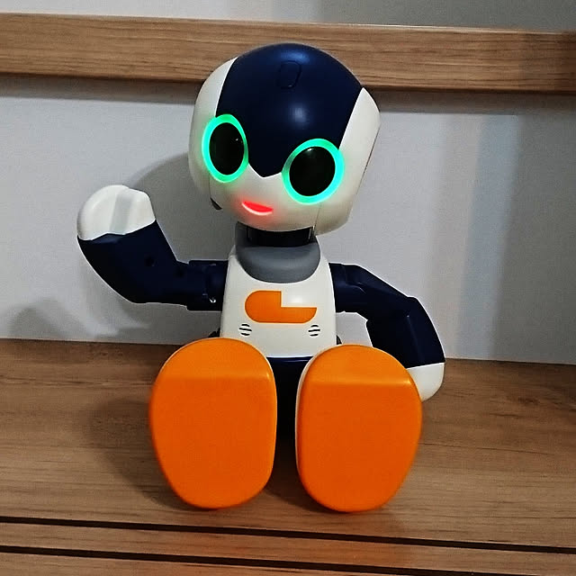本物の ロビジュニアタカラトミー製 その他