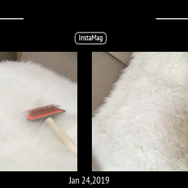 ベッド周り ニトリ ムートンラグ 100均 一人暮らし などのインテリア実例 19 01 24 15 39 02 Roomclip ルームクリップ