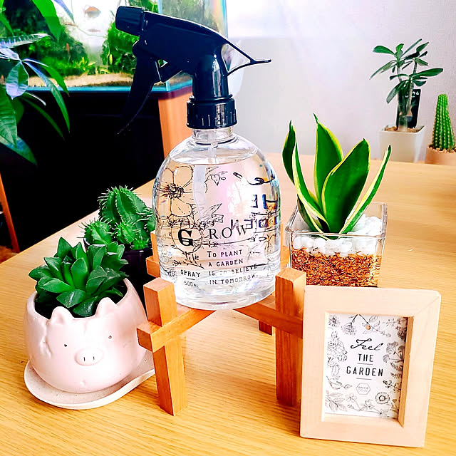 写真付きレビュー Spice スパイス Spice Of Life スプレーボトル ガーデン ブラック 500ml Dyds2210bk スプレーボトル 霧吹き スプレー 水やり 植木 観葉植物 家庭菜園 園芸 ガーデニング ガーデン 玄関 ガーデン用品 ベランダ テラス 庭 多肉植物 給水 葉水用 お