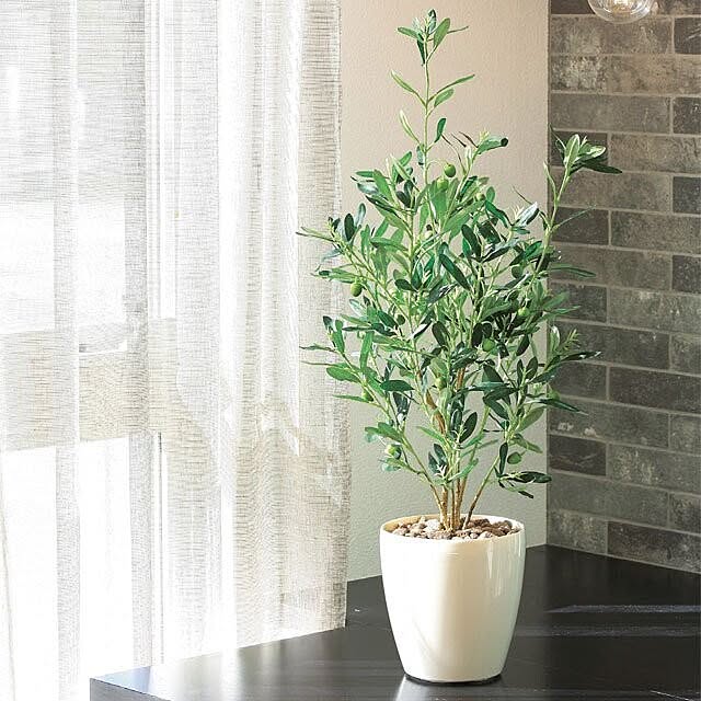 インテリアグリーン 観葉植物 フェイクグリーン 光触媒 人工観葉植物 オリーブ おしゃれ インテリア 高さ90cm 消臭 抗菌 防汚 V Cat 光の楽園 通販 Roomclipショッピング