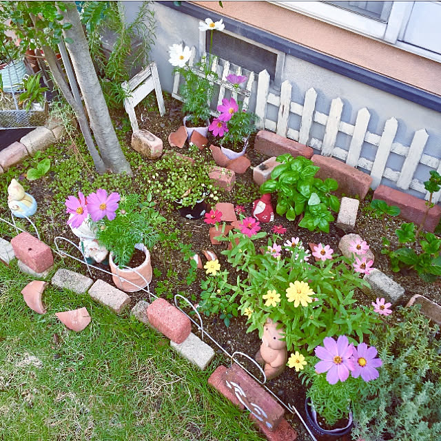 写真付きレビュー 送料無料 エバーリーフ ジェノベーゼ スイートバジルの苗 ハーブ苗 12cmポット 1個 人気 ハーブの苗 バジル苗 スイートバジル苗 野菜苗 家庭菜園 ガーデニング プランター 鉢植え 室内栽培 ベランダ菜園 プレゼント ギフト 贈答 植育 キッチン