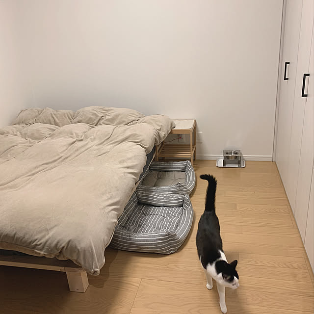 写真付きレビュー ニトリ 毛布にもなる掛け布団カバー ダブル Nグリップnウォームwsp I N Mo D の通販商品 口コミ情報 Roomclipショッピング