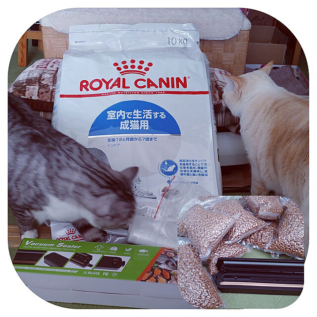 ロイヤルカナン 猫 インドア 10kg 送料無料 正規品猫 猫用 ペット 