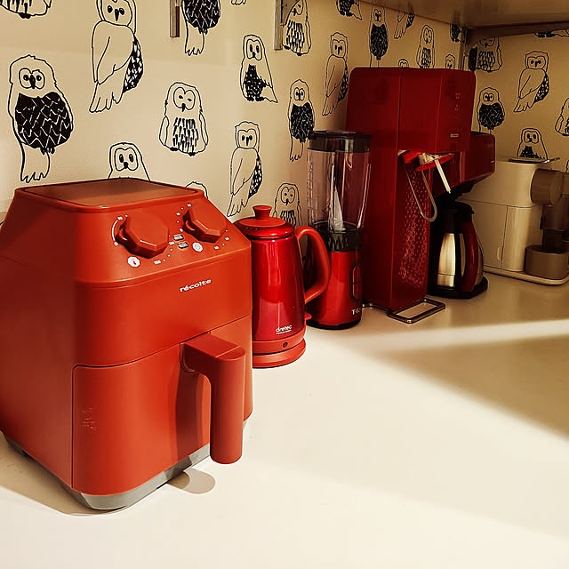 ノンフライヤー 4つから選べるおまけ特典 レコルト エアオーブン 家庭用 2 8l ヘルシーフライヤー 電気フライヤー エアーオーブン エア フライヤー オイルフリー ノンオイルフライヤー 油を使わない 低カロリー ダイエット 健康 唐揚げ ドライフルーツ レシピ36種の