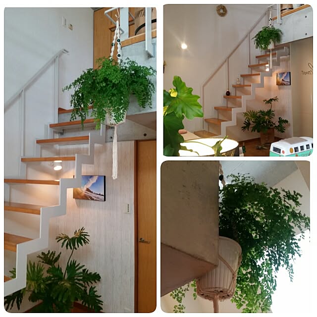 部屋全体 観葉植物 アメリカン ロフト階段 キャンバスポスター などのインテリア実例 16 05 15 15 08 32 Roomclip ルームクリップ