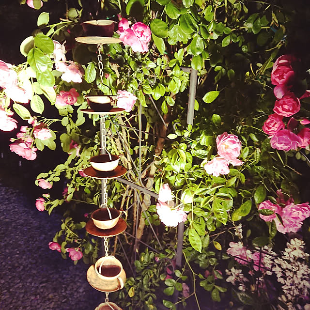 雨どい Jardin Fer Rain Chains 雨とい 雨どい ガーデン雑貨 ガーデニング雑貨 アイアン雑貨 雨樋 おしゃれ かわいい アイアン ガーデン 玄関 エクステリア エントランス 店舗用 カフェ ショップ 庭 テラス ベランダ アンティーク調 バケツ ジョーロ アンブレラの 雨どい Jardin Fer Rain Chains 雨とい 雨どい ガーデン雑貨 ガーデニング雑貨 アイアン雑貨 雨樋 おしゃれ かわいい アイアン ガーデン 玄関 エクステリア エントランス 店舗用 カフェ ショップ 庭 テラス ベランダ アンティーク調 バケツ ジョーロ アンブレラの