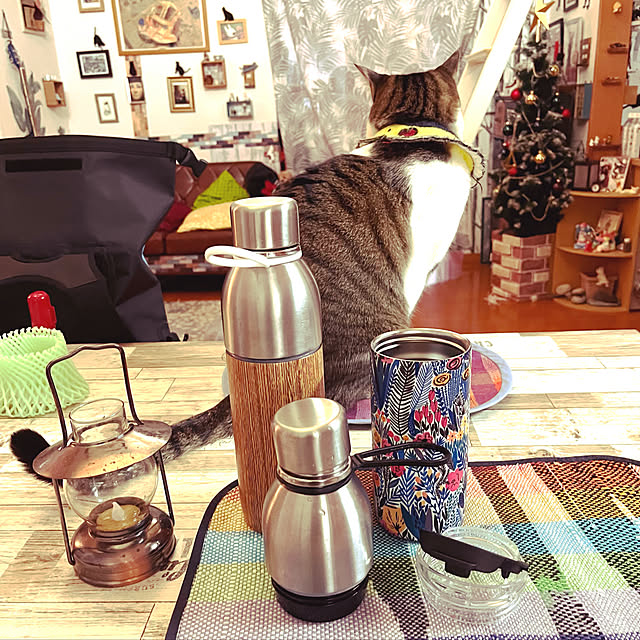 ライフオンプロダクツ 公式 すみずみまで洗える 2way ステンレスボトル Pr Sk0 タンブラー ボトル 水筒 マイボトル 保冷 保温 真空二重構造 北欧 おしゃれ プレゼント Lp Officialのレビュー 口コミとして参考になる投稿53枚