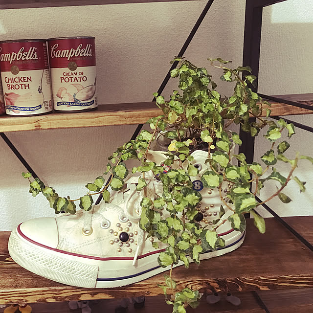 送料無料 コンバース スニーカー メンズ レディース 靴 オールスター 男性 女性 ハイカット Converse Canvas All Star Hi キャンバス 赤 白 黒 定番 シンプル 学校 通学 仕事 合わせやすい おしゃれ かっこいい 正規品 ギフト プレゼント 父の日 母の日のレビュー