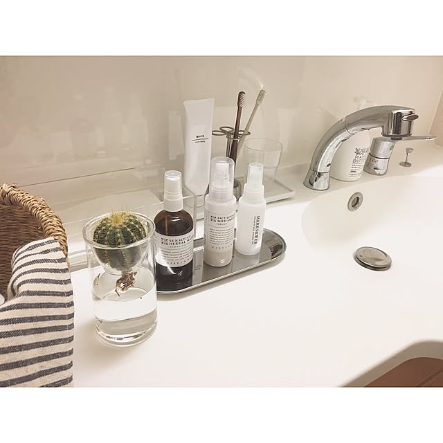 写真付きレビュー Dulton ダルトン ステンレスフラワー型歯ブラシホルダー サテン 4 Holes Toothbrush Holder 歯ブラシスタンド 歯ブラシホルダー 歯ブラシ立て 歯ブラシたて おしゃれ オシャレ 母の日の通販商品 口コミ情報 Roomclipショッピング