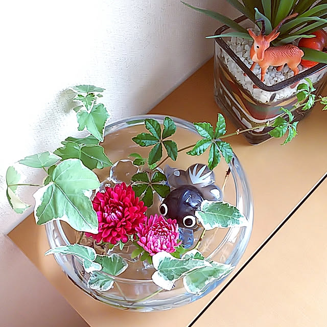 花瓶 フラワーベース 花びん 花器 ガラス花瓶 ガラスベース ガラス鉢 鉢 水鉢 ガラス製 おしゃれ 北欧 シンプル ナチュラル 丸型 浅いのレビュー クチコミとして参考になる投稿9枚 Roomclip ルームクリップ 花瓶 フラワーベース 花びん 花器 ガラス花瓶 ガラスベース ガラス鉢 鉢 水鉢 ガラス製 おしゃれ 北欧 シンプル ナチュラル 丸型 浅いのレビュー クチコミとして参考になる投稿9枚 Roomclip ルームクリップ