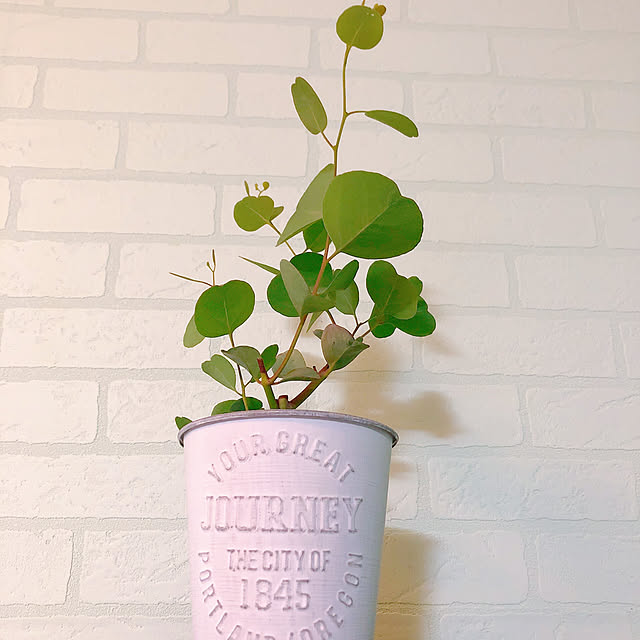 写真付きレビュー 壁紙 のり付き 西海岸風 レンガ クロス ホワイトレンガ ミントグリーン 水色 白 シャビーシック アンティーク調レンガ おしゃれ 壁紙 サーフ系 壁紙張り替え Diy リフォーム アクセントクロス 国産壁紙 生のり付き壁紙 壁リフォーム リメイクの通販商品