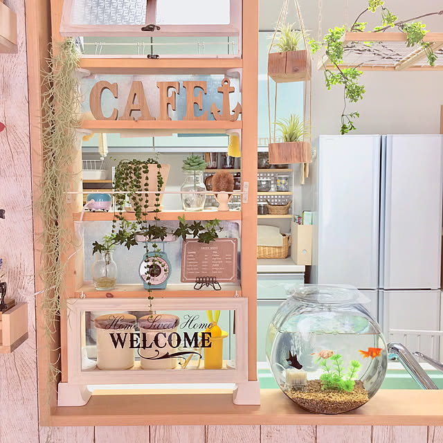 写真付きレビュー コトブキ工芸 Kotobuki Ei ブクブク 5点セット 30cm水槽用エアーポンプ 関東当日便の通販商品 口コミ情報 Roomclipショッピング