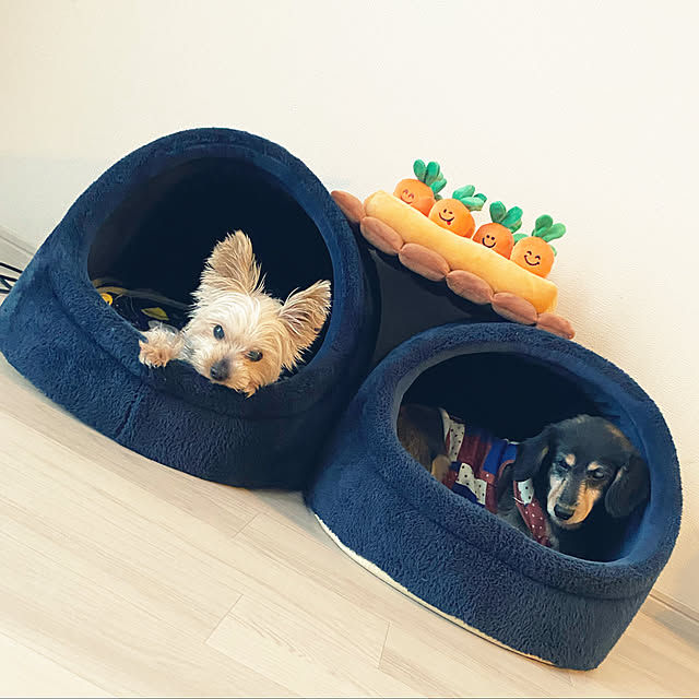 ドーム型 ペットベッド 犬 猫 ベッド 冬 おしゃれ ハウス 暖かい ペット ふわふわ ボア 犬用ベッド ネコベッド ドームベッド Lサイズのレビュー・クチコミとして参考になる投稿10枚 | RoomClipショッピング ドーム型 ペットベッド 犬 猫 ベッド 冬 おしゃれ ハウス 暖かい ペット ふわふわ ボア 犬用ベッド ネコベッド ドームベッド Lサイズのレビュー・クチコミとして参考になる投稿10枚 | RoomClipショッピング