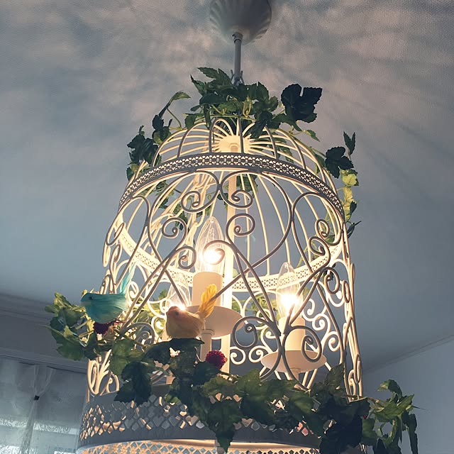 送料無料 シャンデリア バードケージ Birdcage ペンダントライト 天井照明 照明器具 間接照明 癒やし おしゃれ かわいい 鳥かご 鳥カゴ アンティーク レトロ 北欧 アジアン 寝室 ダイニング用 食卓用 ペンダント 電気 ベッドルーム ライトのレビュー クチコミとして