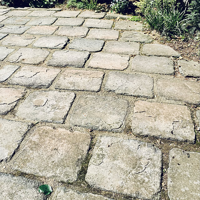 マサファルト kg 真砂土色 雑草 ぬかるみにお困りの方へ 雑草防止 水で固まる土 園芸 庭 造園 資材 ガーデニング 防草シート 砂利 砂 土 固めるのレビュー クチコミとして参考になる投稿1枚