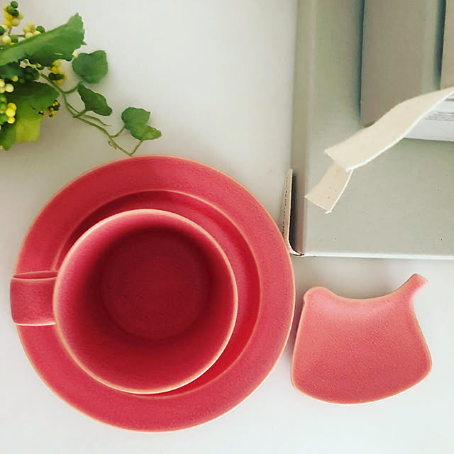 Yumiko Iihoshi Porcelain イイホシユミコ Tori Plateのレビュー クチコミとして参考になる投稿5枚 Roomclip Item