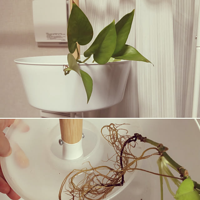 Ikea イケア ガーデンプランターハンギング ホワイト ハンギング フラワーポット おしゃれ 園芸用品 ガーデニング 雑貨 かわいいのレビュー クチコミとして参考になる投稿6枚 Roomclip ルームクリップ Ikea イケア ガーデンプランターハンギング ホワイト ハンギング フラワーポット おしゃれ 園芸用品 ガーデニング 雑貨 かわいいのレビュー クチコミとして参考になる投稿6枚 Roomclip ルームクリップ