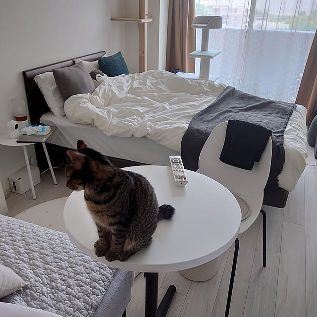 写真付きレビュー 22年 年間ランキング1位 防犯カメラ 楽天1位 無料クラウド 530万画素 温度計 ベビーモニター Amazon国内サーバー 自社契約 ベビーカメラ ペットカメラ 自動追跡 アレクサ 家庭 追尾 音声 首振り 留守番 見守りカメラ ワイヤレス 屋内 監視カメラ 写真付きレビュー 22年 年間ランキング1位 防犯カメラ 楽天1位 無料クラウド 530万画素 温度計 ベビーモニター Amazon国内サーバー 自社契約 ベビーカメラ ペットカメラ 自動追跡 アレクサ 家庭 追尾 音声 首振り 留守番 見守りカメラ ワイヤレス 屋内 監視カメラ