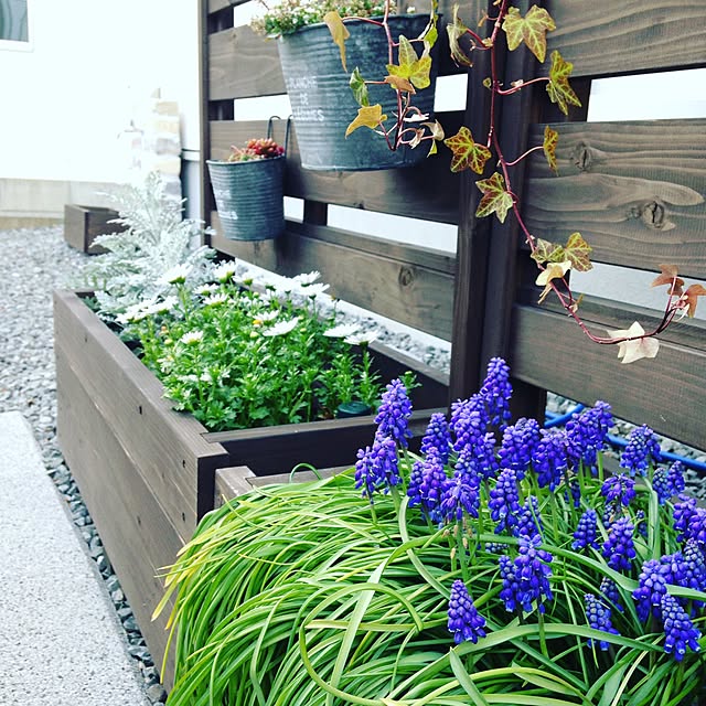 写真付きレビュー 国産 目隠しフェンス プランター付きフェンス 組立不要タイプ 目隠しや格子 大和塀など全12種から フェンス プランター 高さ1500mm 幅0mm 奥行336mm 規格サイズ 庭 目隠し ラティス 木製 特大商品 の通販商品 口コミ情報 Roomclip