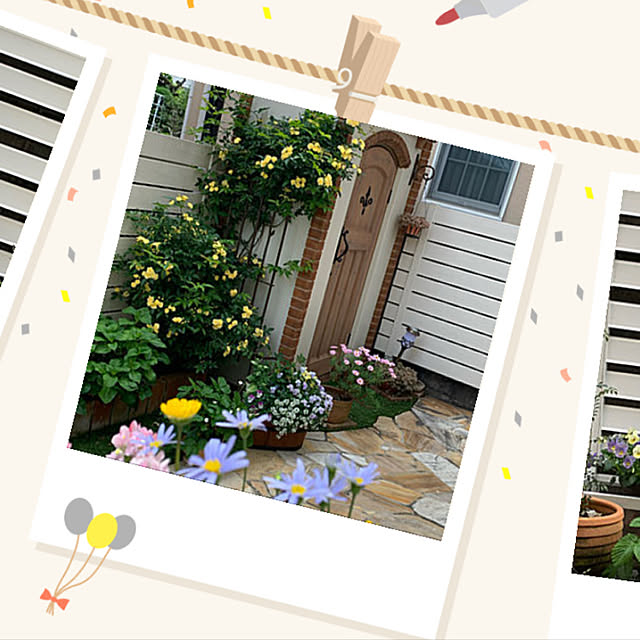 目隠しフェンス Diy用 樹脂フェンス 木目調 アルファウッド 外構フェンスセット W4000 H1800 ディーズガーデン 屋外 ラティス おしゃれ 庭 ガーデニン 人工木 送料無料のレビュー クチコミとして参考になる投稿172枚 Roomclip ルームクリップ