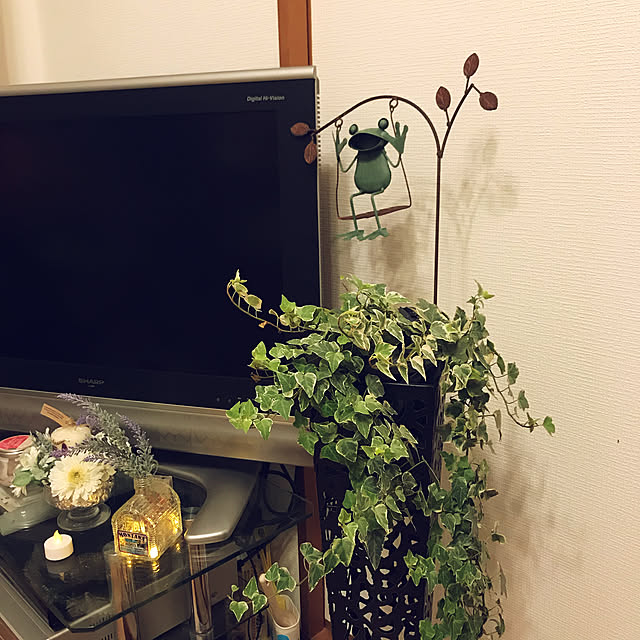 カルチベーター アイアン 花台 スタンド フラワースタンド 室内 おしゃれアイアン デザイン スタンド黒ラウンド型ガーデニング 雑貨 のアトリエ欅舎のレビュー 口コミとして参考になる投稿15枚 Roomclip ルームクリップ