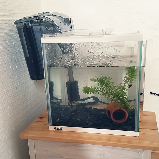 写真付きレビュー スペクトラム ブランズ ジャパン テトラ スマートメダカ飼育水槽セット ｓｐ １７ｋｆの通販商品 口コミ情報 Roomclipショッピング