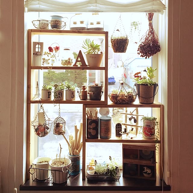 棚/窓辺/DIY 飾り棚/リメ缶/多肉植物のインテリア実例 20140410 122402 ｜ RoomClip（ルームクリップ）