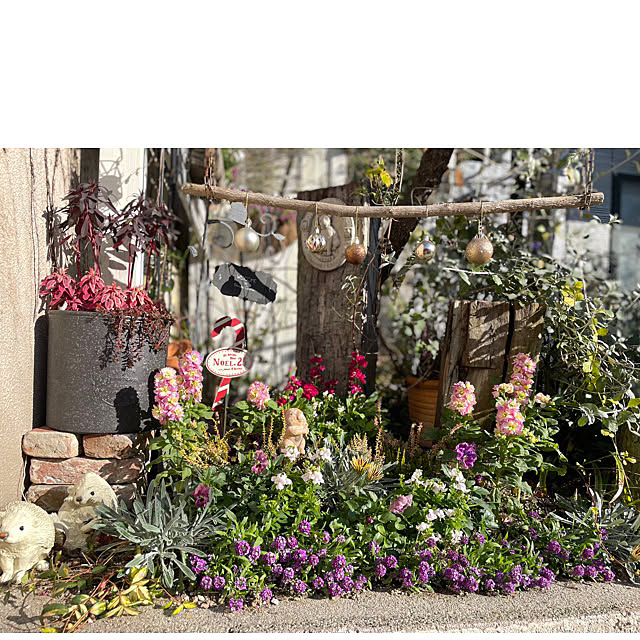 冬のガーデン 冬の庭 季節を楽しむ暮らし 季節を感じる暮らし クリスマスガーデン などのインテリア実例 21 12 24 19 27 04 Roomclip ルームクリップ