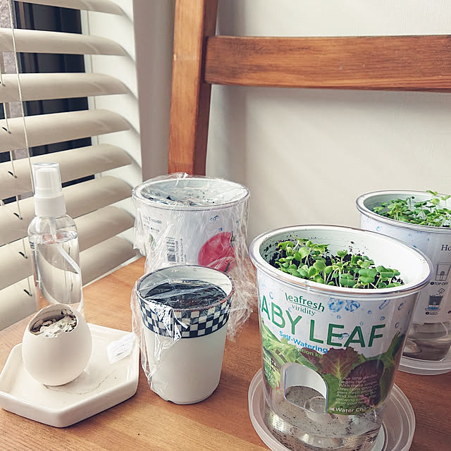 フレッシュフィール お洒落な野菜栽培キット 選べる6種類 ミニトマト レタス ラディッシュ ベビーリーフミックス ホウレンソウ パクチー底面給水ポットで簡単栽培 かわいい野菜栽培セット お家で育てるサラダ 家庭菜園 のレビュー クチコミとして参考に