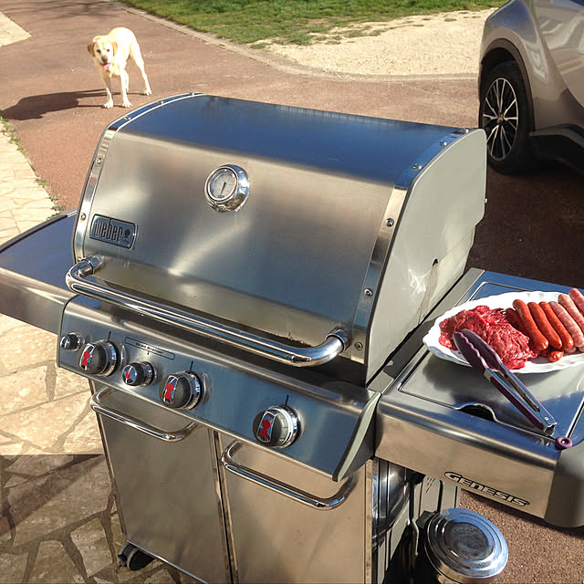 Weber ウェーバー ガスグリル ジェネシス E 310 q バーベキュー グリル コンロ バーベキューグリル バーベキューコンロ 焼肉 燻製 アウトドア のレビュー クチコミとして参考になる投稿1枚 Roomclip ルームクリップ