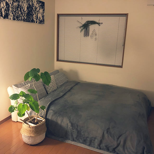 Costco コストコ Kirkland カークランド ブランケット クイーンサイズ 233 248cm グレーのレビュー クチコミとして参考になる投稿3枚 Roomclip ルームクリップ