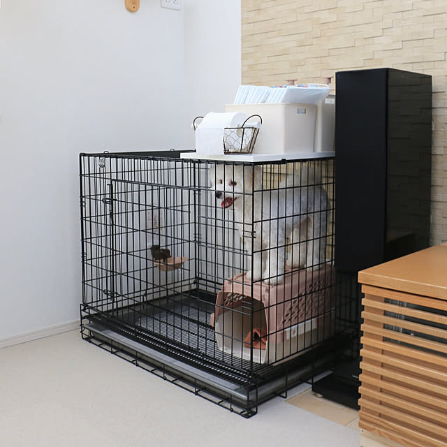 写真付きレビュー 犬用ケージ Proスチールケージ Ll Lsd 長面扉 915mm 635mm H740mm ペットケージ 折りたたみ 犬用 犬 ケージ サークル 猫 サークルケージ 屋内 キャットケージ 室内 室内用 ネコ ねこ 組み立てかんたん 売れ筋商品 プロユース商品 の 写真付きレビュー 犬用ケージ Proスチールケージ Ll Lsd 長面扉 915mm 635mm H740mm ペットケージ 折りたたみ 犬用 犬 ケージ サークル 猫 サークルケージ 屋内 キャットケージ 室内 室内用 ネコ ねこ 組み立てかんたん 売れ筋商品 プロユース商品 の
