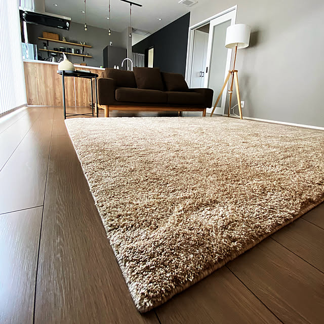 ニトリ 低反発ラグパッド 下敷き専用 195x235 のレビュー 口コミとして参考になる投稿23枚 Roomclip ルームクリップ