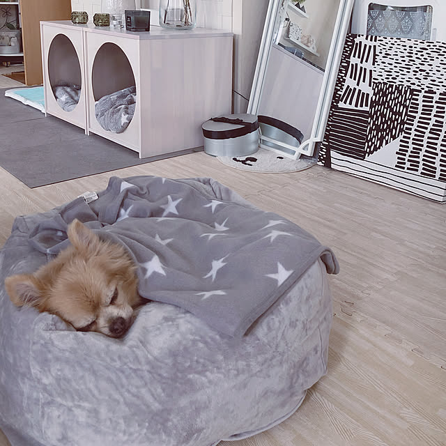 New 木製ペットハウス 犬小屋 ペットベッド 室内用 ドッグハウス おしゃれ ケージ ゲージ 小型犬 中型犬 石崎家具のレビュー クチコミとして参考になる投稿174枚 Roomclip Item