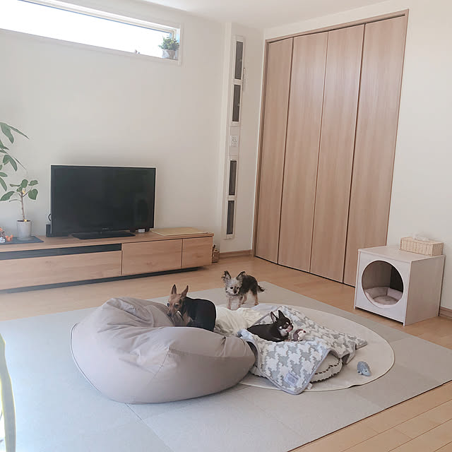 写真付きレビュー】「木製ペットハウス」 犬小屋 ペットベッド 室内用 ドッグハウス おしゃれ ケージ ゲージ 小型犬 中型犬 石崎家具の通販商品口コミ情報 | RoomClipショッピング 写真付きレビュー】「木製ペットハウス」 犬小屋 ペットベッド 室内用 ドッグハウス おしゃれ ケージ ゲージ 小型犬 中型犬 石崎家具の通販商品口コミ情報 | RoomClipショッピング