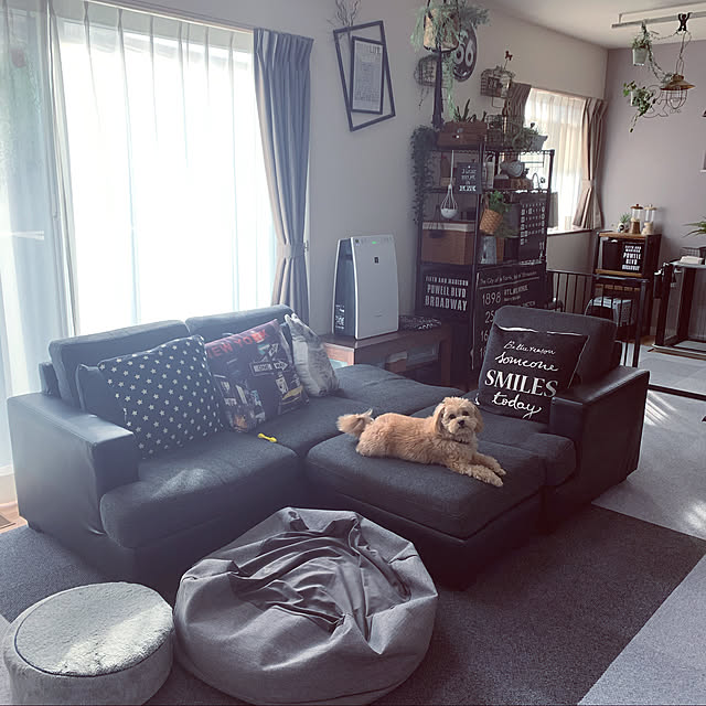 写真付きレビュー トーカ堂 シャープ 加湿空気清浄機 プラズマクラスター 7000 スタンダード 11畳 空気清浄 14畳 ホワイト Kc 30t6 Wの通販商品 口コミ情報 Roomclipショッピング